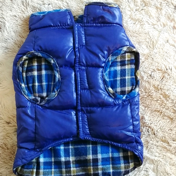 Small dog fall jacket - Picture 4 of 5